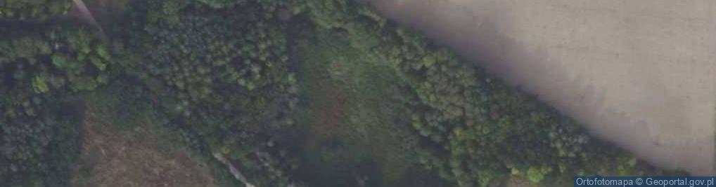 Zdjęcie satelitarne jez. Kwik