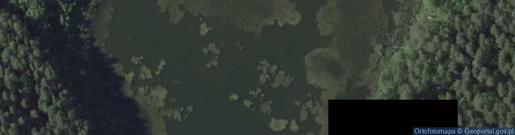 Zdjęcie satelitarne jez. Łabędek