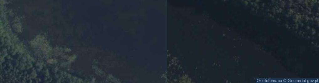 Zdjęcie satelitarne jez. Leśne