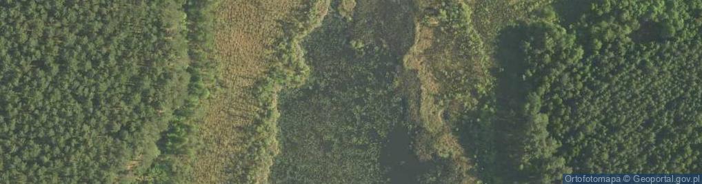 Zdjęcie satelitarne jez. Linkówko