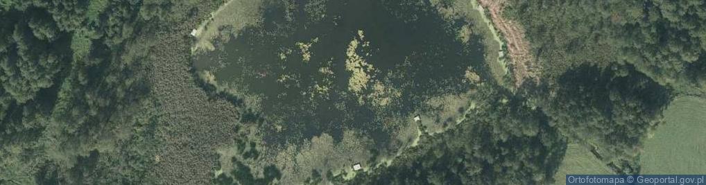 Zdjęcie satelitarne jez. Mała Cerkwica