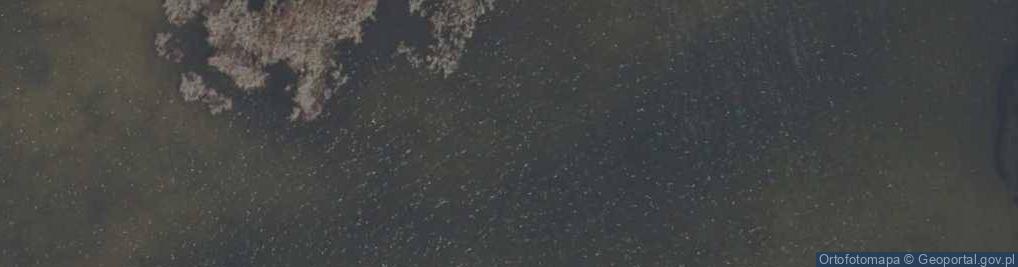 Zdjęcie satelitarne jez. Maliszewskie