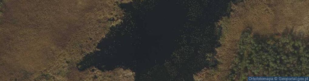 Zdjęcie satelitarne jez. Mielno