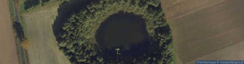 Zdjęcie satelitarne jez. Opalczysko