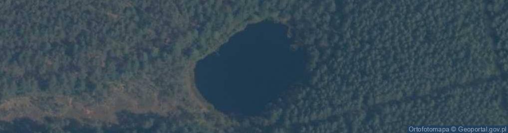 Zdjęcie satelitarne jez. Osieniewko
