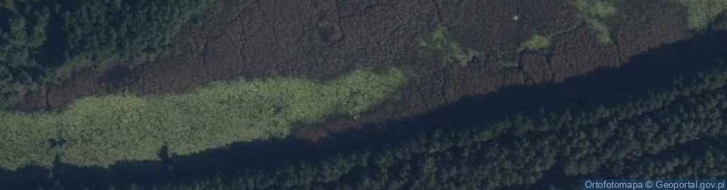 Zdjęcie satelitarne jez. Parów Karski