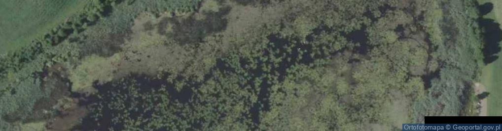 Zdjęcie satelitarne jez. Pełelskie