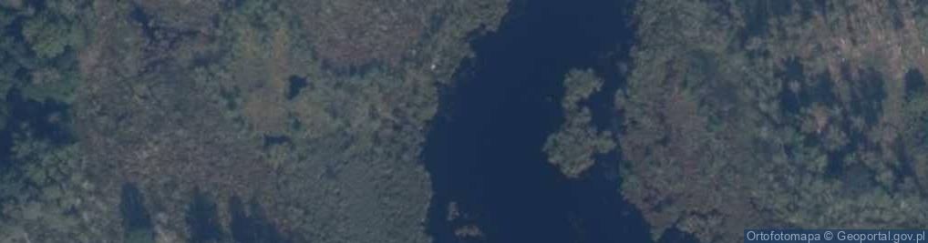 Zdjęcie satelitarne jez. Pierwsze Sady