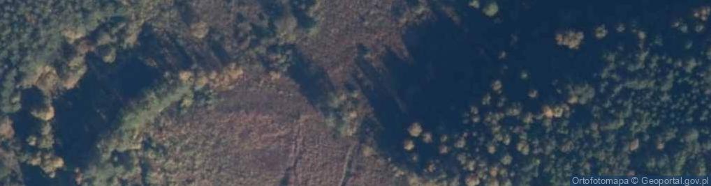 Zdjęcie satelitarne jez. Płytkie