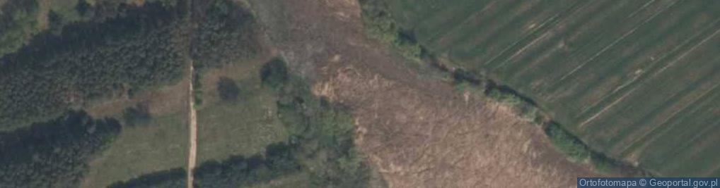 Zdjęcie satelitarne jez. Prącie
