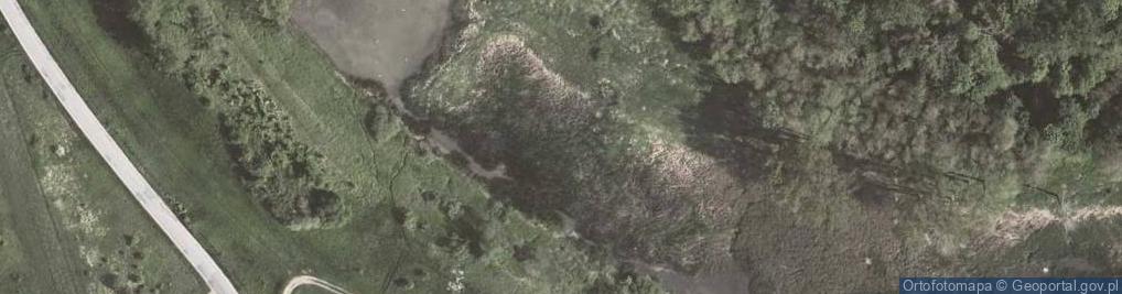 Zdjęcie satelitarne jez. Stare Wiślisko