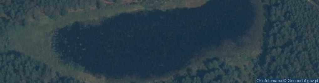 Zdjęcie satelitarne jez. Syconki Wielkie