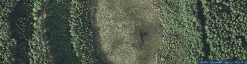 Zdjęcie satelitarne jez. Trzęsawisko