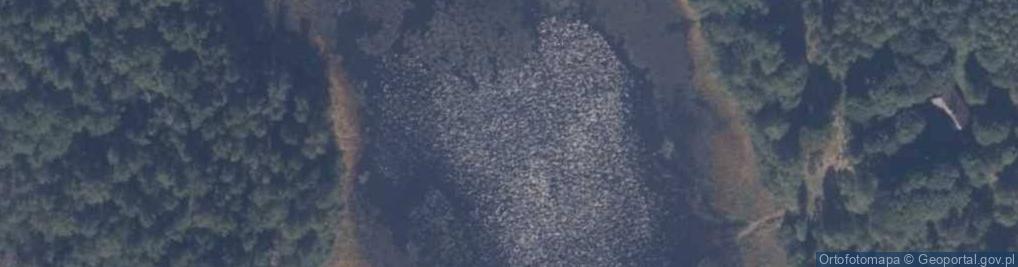 Zdjęcie satelitarne jez. Wałdowo