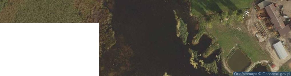 Zdjęcie satelitarne jez. Witkowo