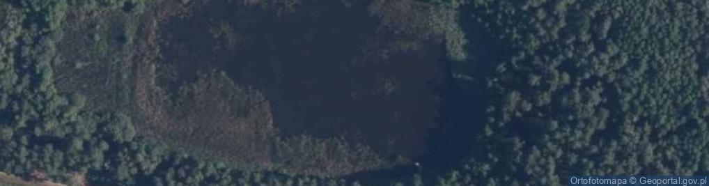 Zdjęcie satelitarne jez. Wujkowe Bagno