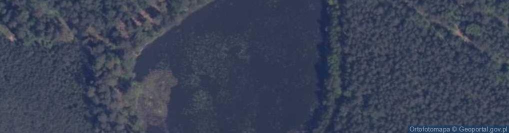 Zdjęcie satelitarne jez. Żabie