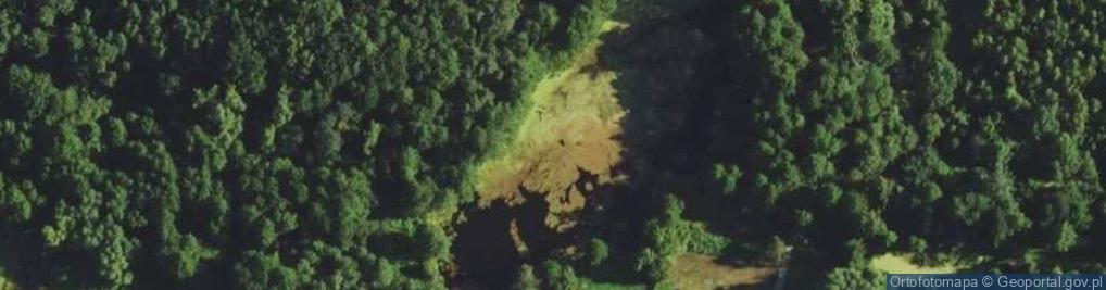 Zdjęcie satelitarne Jezioro Niemieckie