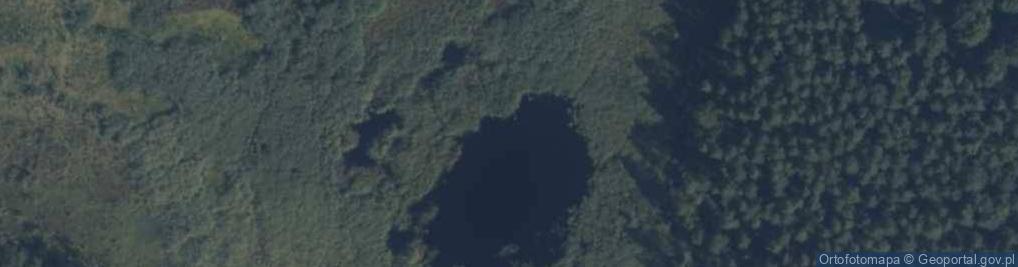 Zdjęcie satelitarne Kacze Bagna
