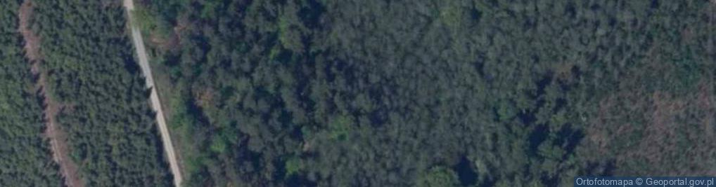 Zdjęcie satelitarne Mały Staw