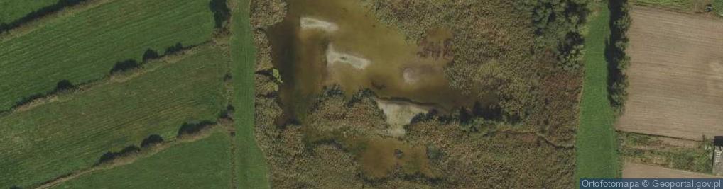 Zdjęcie satelitarne Racieńskie Torfy