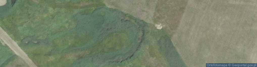Zdjęcie satelitarne Rzepiska