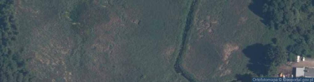 Zdjęcie satelitarne staw Baba