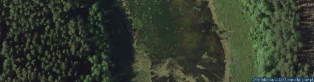 Zdjęcie satelitarne staw Bagno Pawelczyńskie