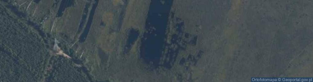 Zdjęcie satelitarne staw Błota