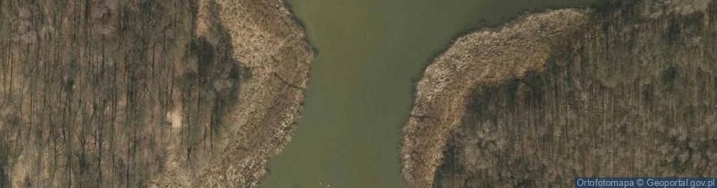 Zdjęcie satelitarne staw Borkowiec