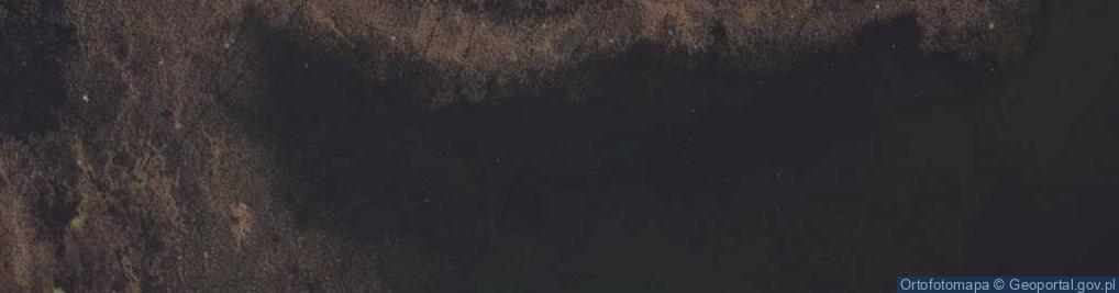 Zdjęcie satelitarne staw Borowski