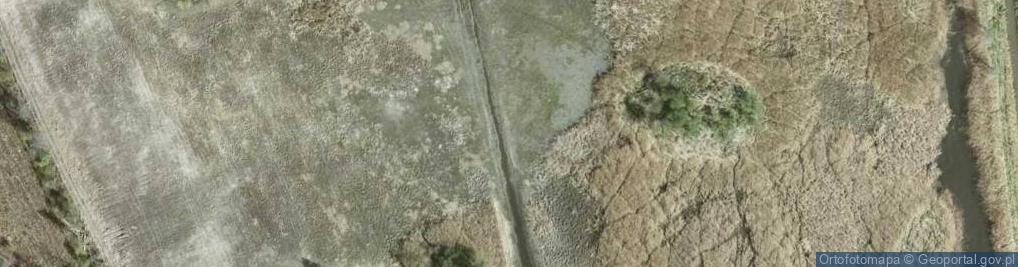 Zdjęcie satelitarne staw Brzostowski