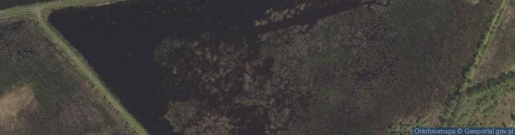 Zdjęcie satelitarne staw Brzozowa Smuga