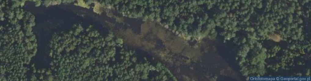 Zdjęcie satelitarne staw Brzozowiec