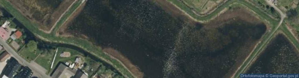 Zdjęcie satelitarne Staw Bułów