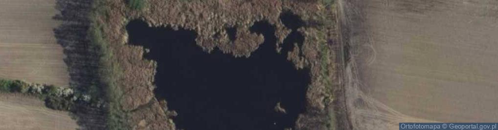 Zdjęcie satelitarne staw Ciemiężyn