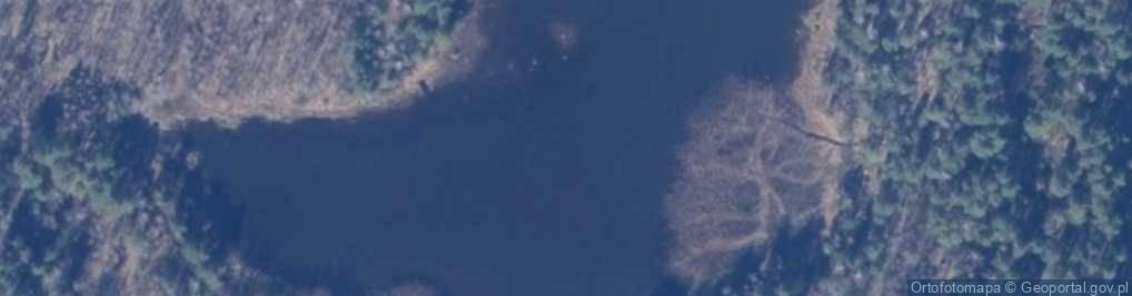 Zdjęcie satelitarne staw Czarny Ług