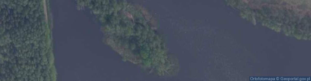 Zdjęcie satelitarne staw Czarny