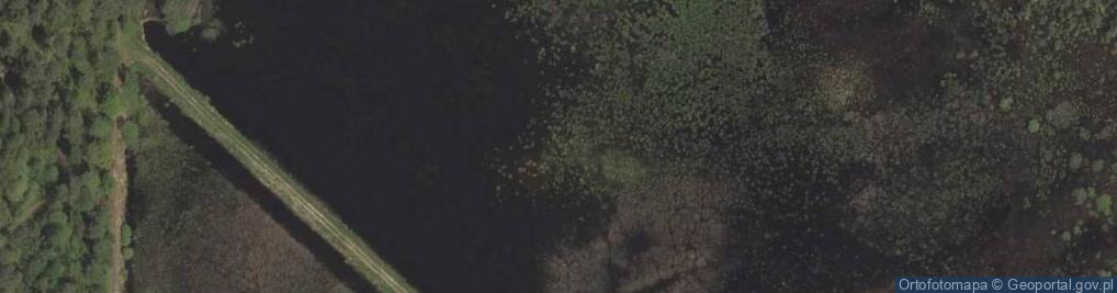 Zdjęcie satelitarne staw Czerwonka