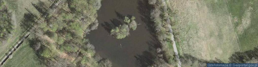 Zdjęcie satelitarne staw Dziewiętliński