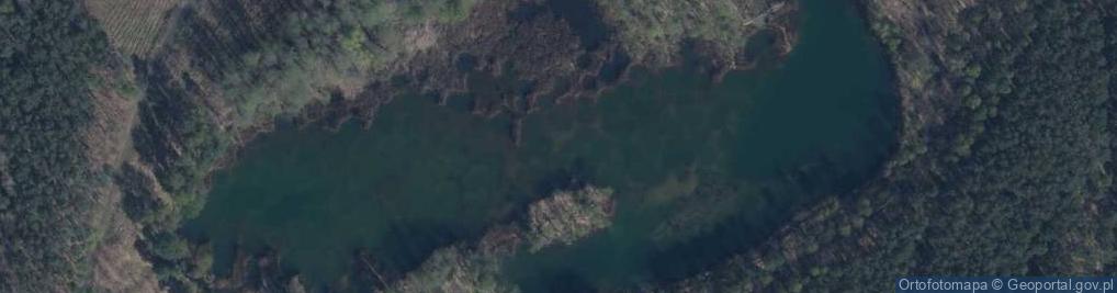 Zdjęcie satelitarne staw Gajówka