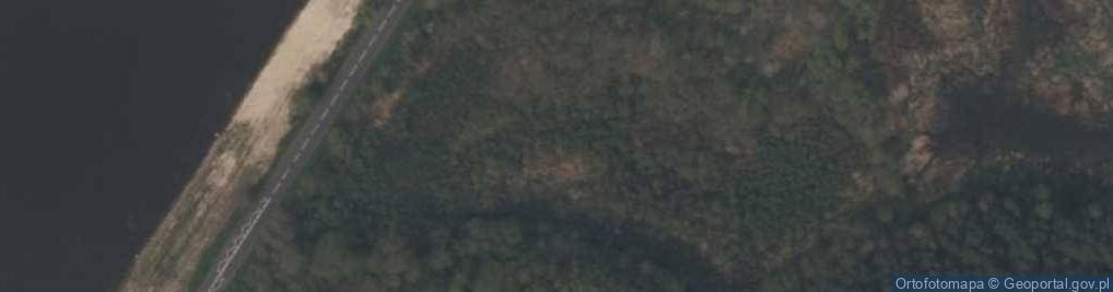 Zdjęcie satelitarne staw Gałka Dolna