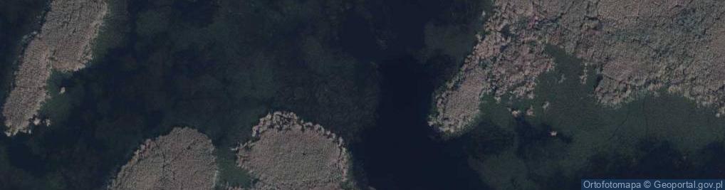 Zdjęcie satelitarne staw Głęboki