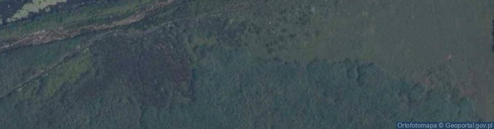 Zdjęcie satelitarne staw Głuchowski