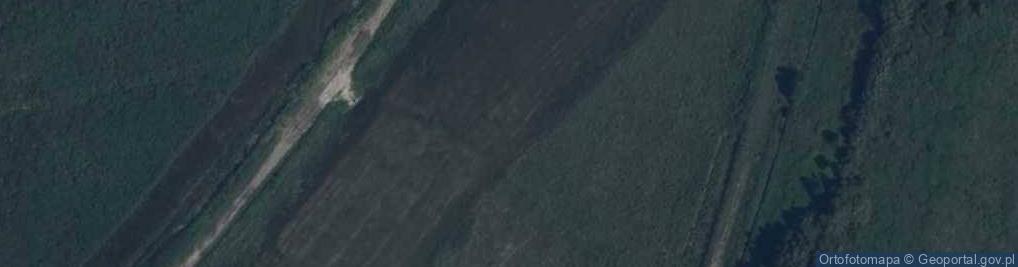 Zdjęcie satelitarne staw Grządki Górne