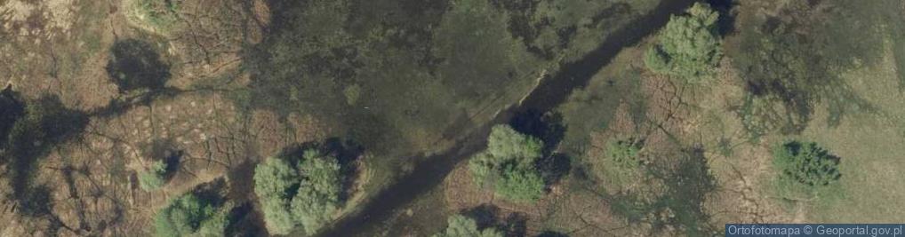 Zdjęcie satelitarne staw Jeziork