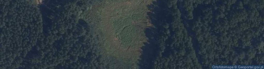 Zdjęcie satelitarne staw Kaczy Dół