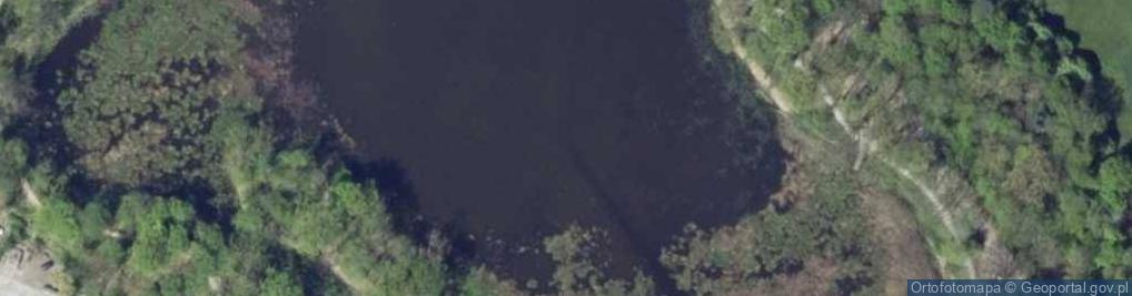 Zdjęcie satelitarne staw Kałużnik