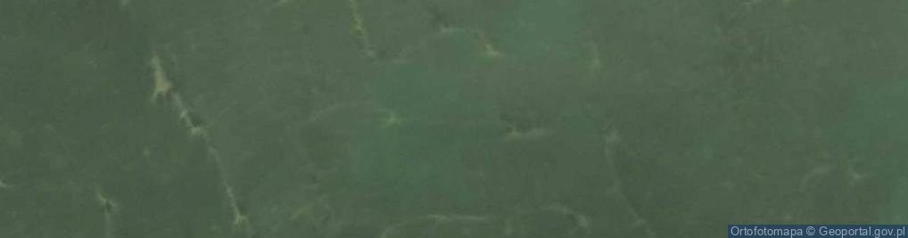 Zdjęcie satelitarne staw Kamieniec
