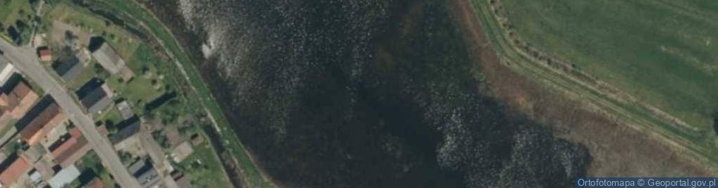Zdjęcie satelitarne Staw Kaniów
